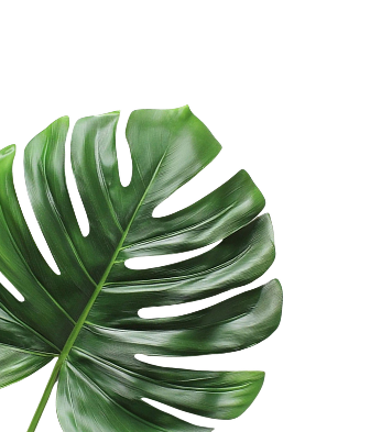 left-leaf