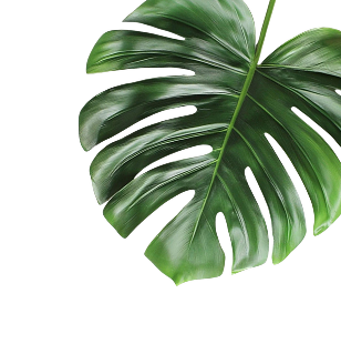 right-leaf